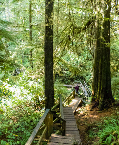 32 outdoor things to do on Vancouver Island-hiking