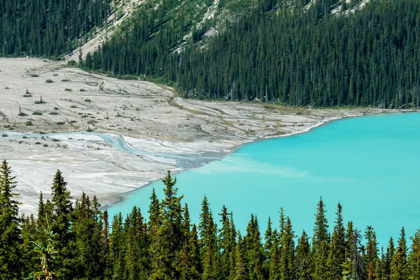 Peyto Lake, Canada - photoshopped or real