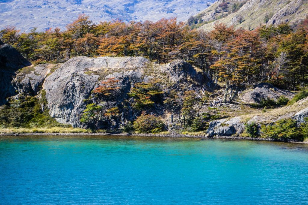 50 insane pictures of Chile to inspire your travels - Patagonia National Park along Carretera Austral, Patagonia, Chile