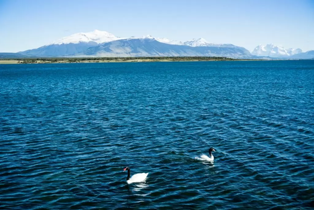 50 insane pictures of Chile to inspire your travels - Puerto Natales near Torres del Paine National Park, Patagonia, Chile