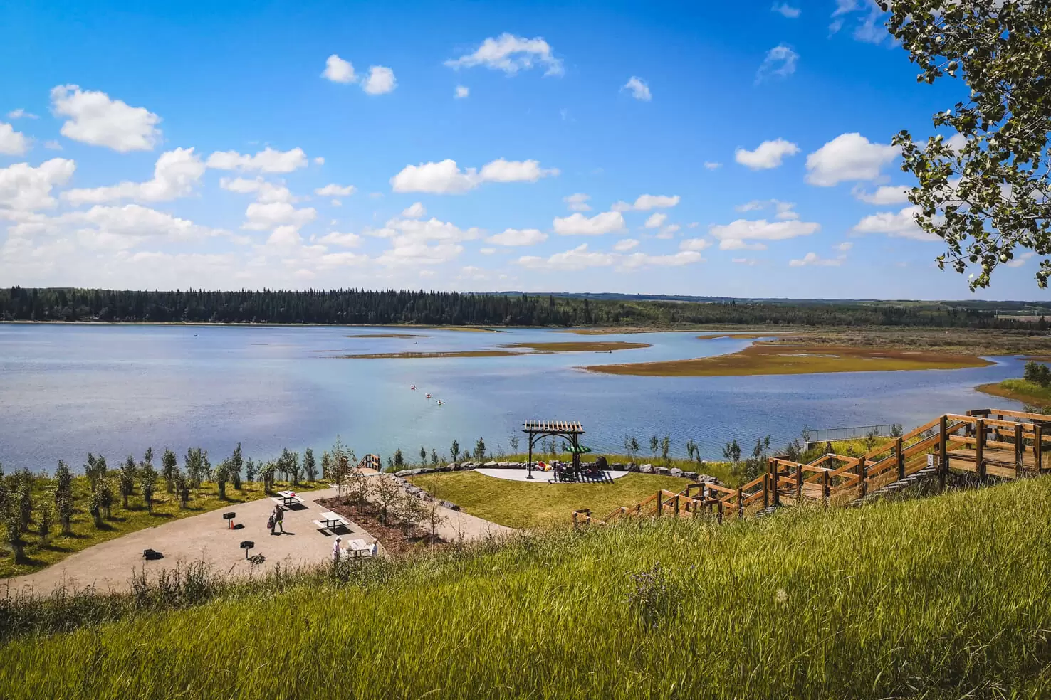 Things to do in Calgary in summer - Have barbeque in North Glenmore Park