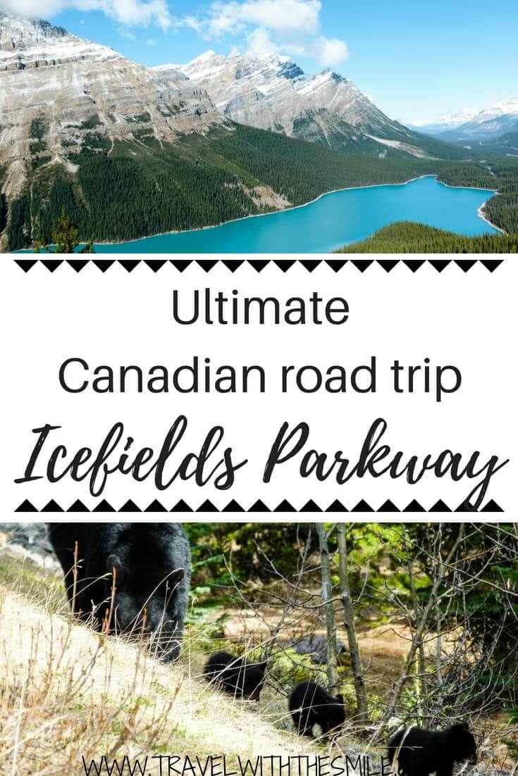 Icefields Parkway Itinerary: A Guide to 20+ Stops Along Icefields Parkway