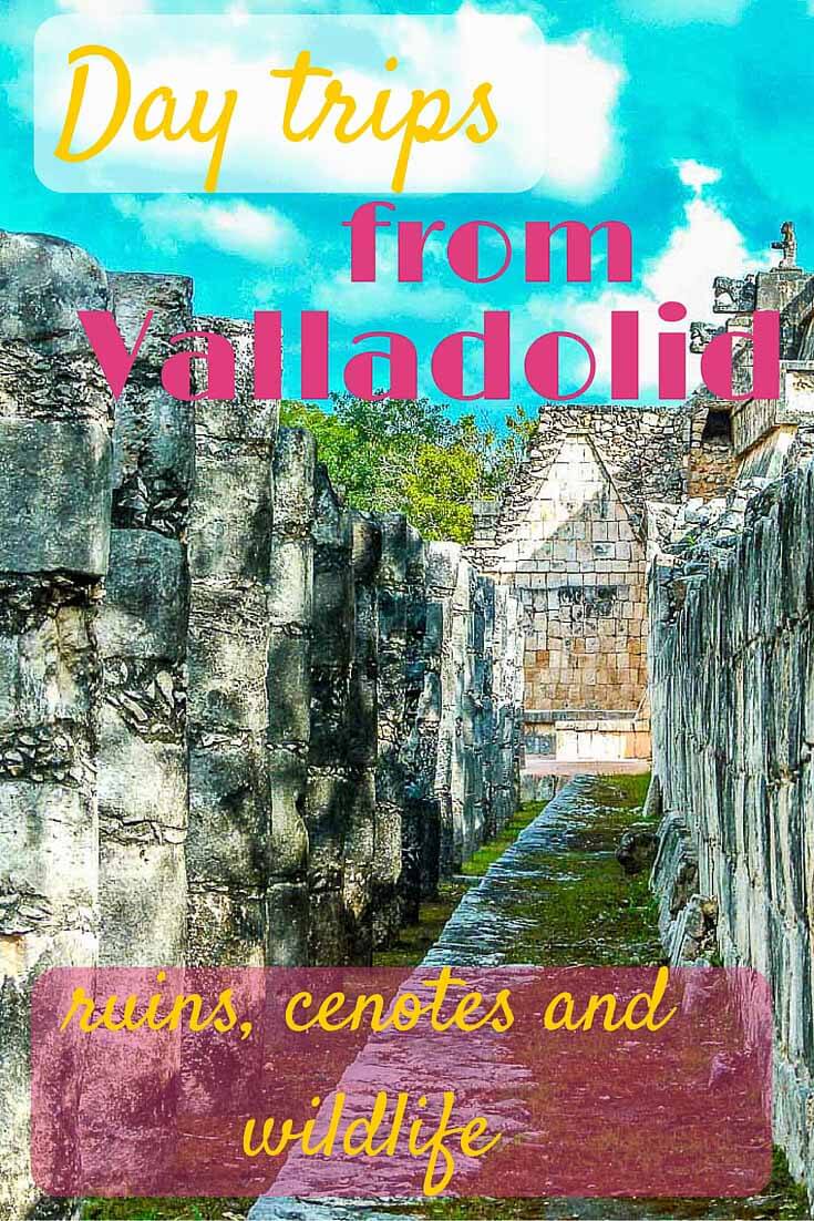 Day trips from Valladolid - ruins, cenotes and wildlife