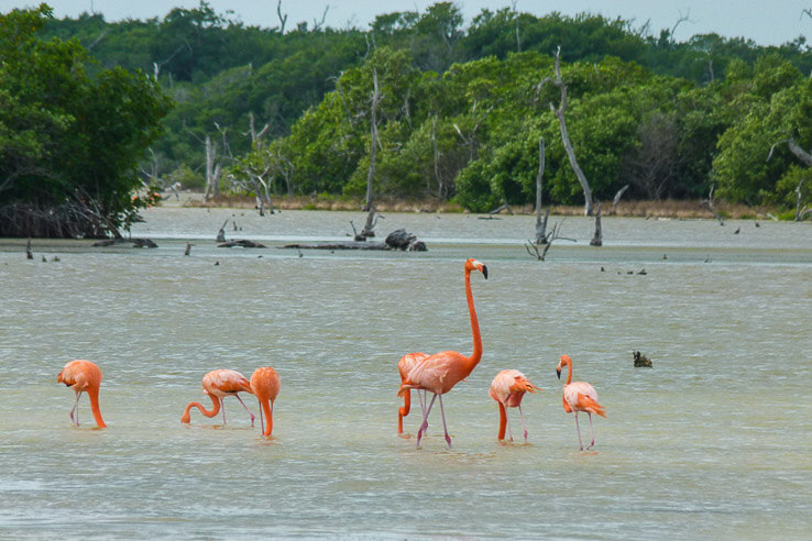 our happiest travel moments of 2015