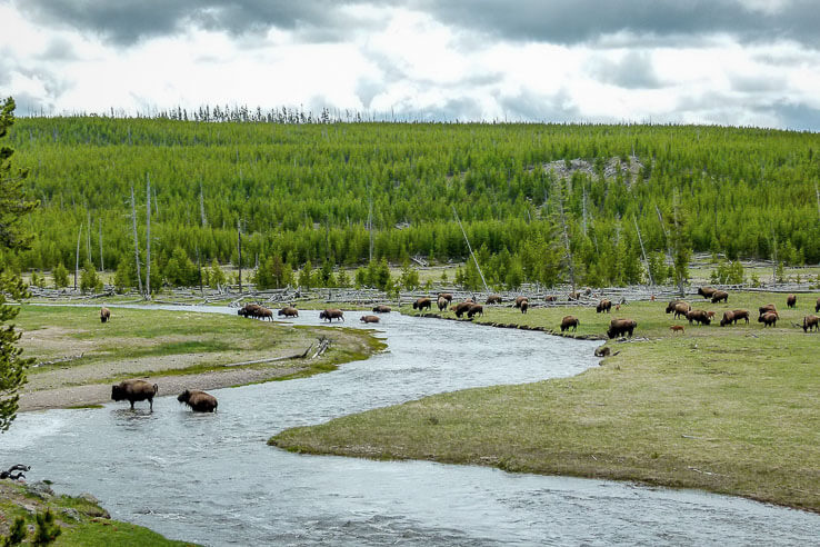 our happiest travel moments of 2015