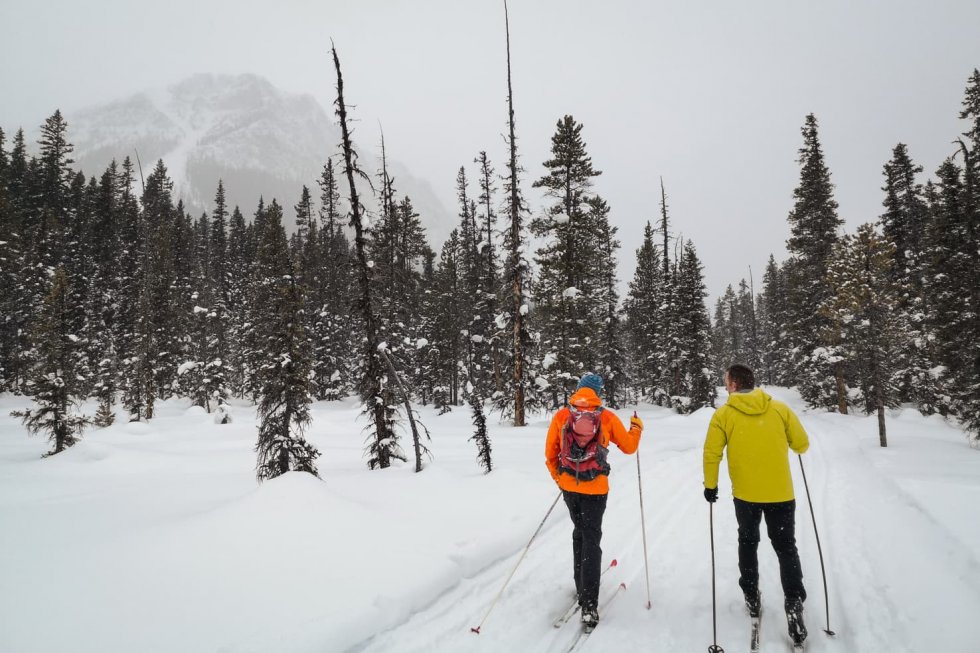 12 Best Trails for Cross Country Skiing in Banff Area for All Levels
