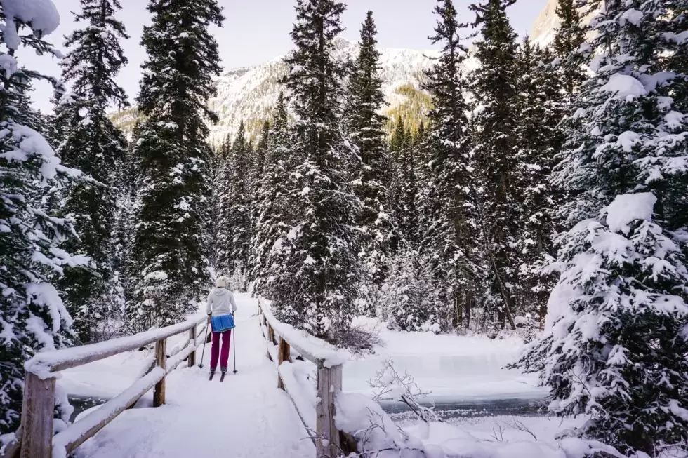 12 Best Trails for Cross Country Skiing in Banff Area for All Levels (+Video)