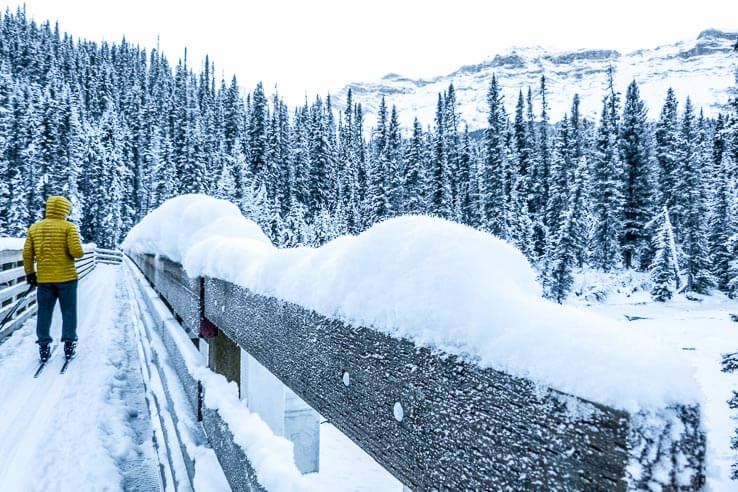 Cross country ski trails in Banff National Park area for all levels