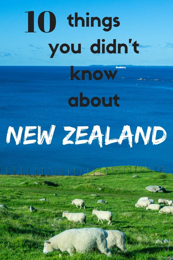 10 things you didn't know about New Zealand