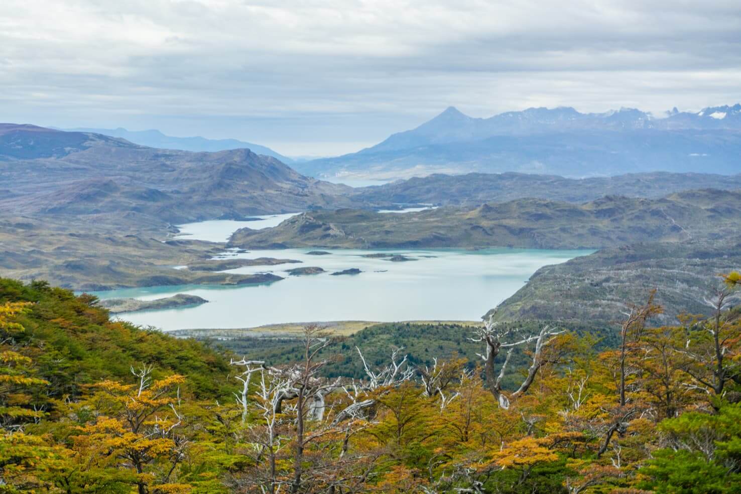 How to get beaver fever in Torres del Paine national park, Chile