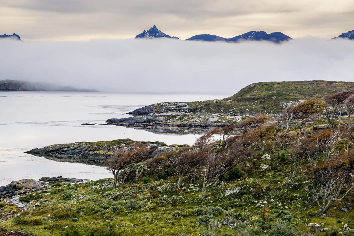 exploring-remote-puerto-williams-chile-the-southernmost-city-in-the