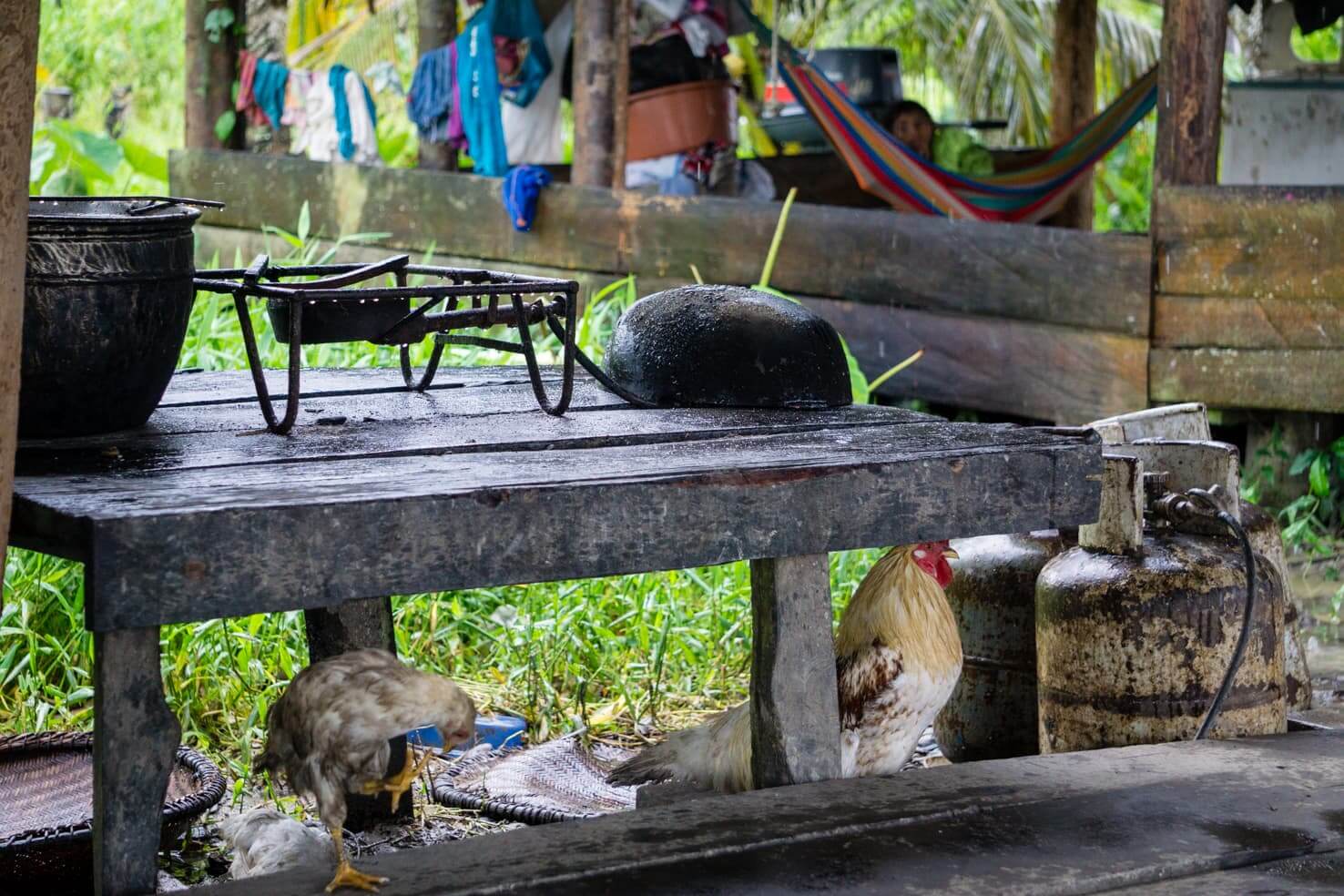 Daily life of Warao Indians in Venezuelan jungle