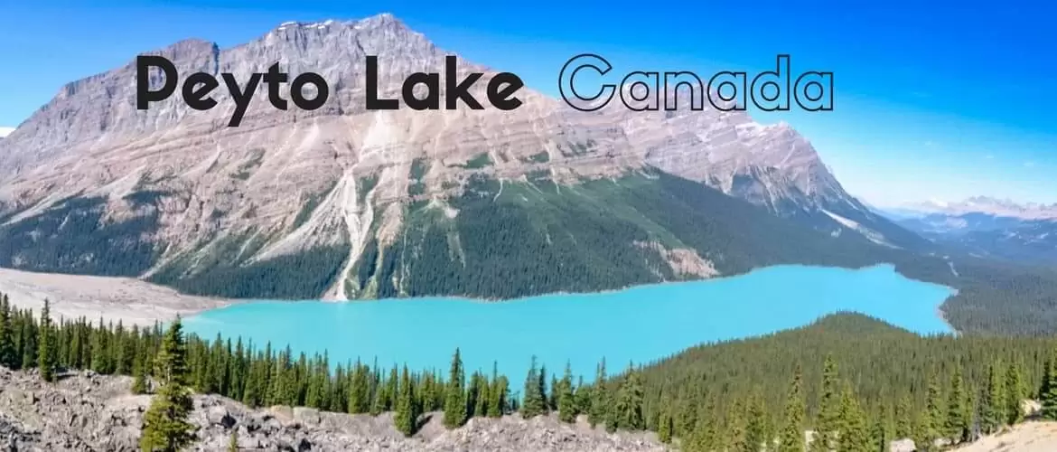 Peyto Lake, Canada – Everything You Need to Know About It