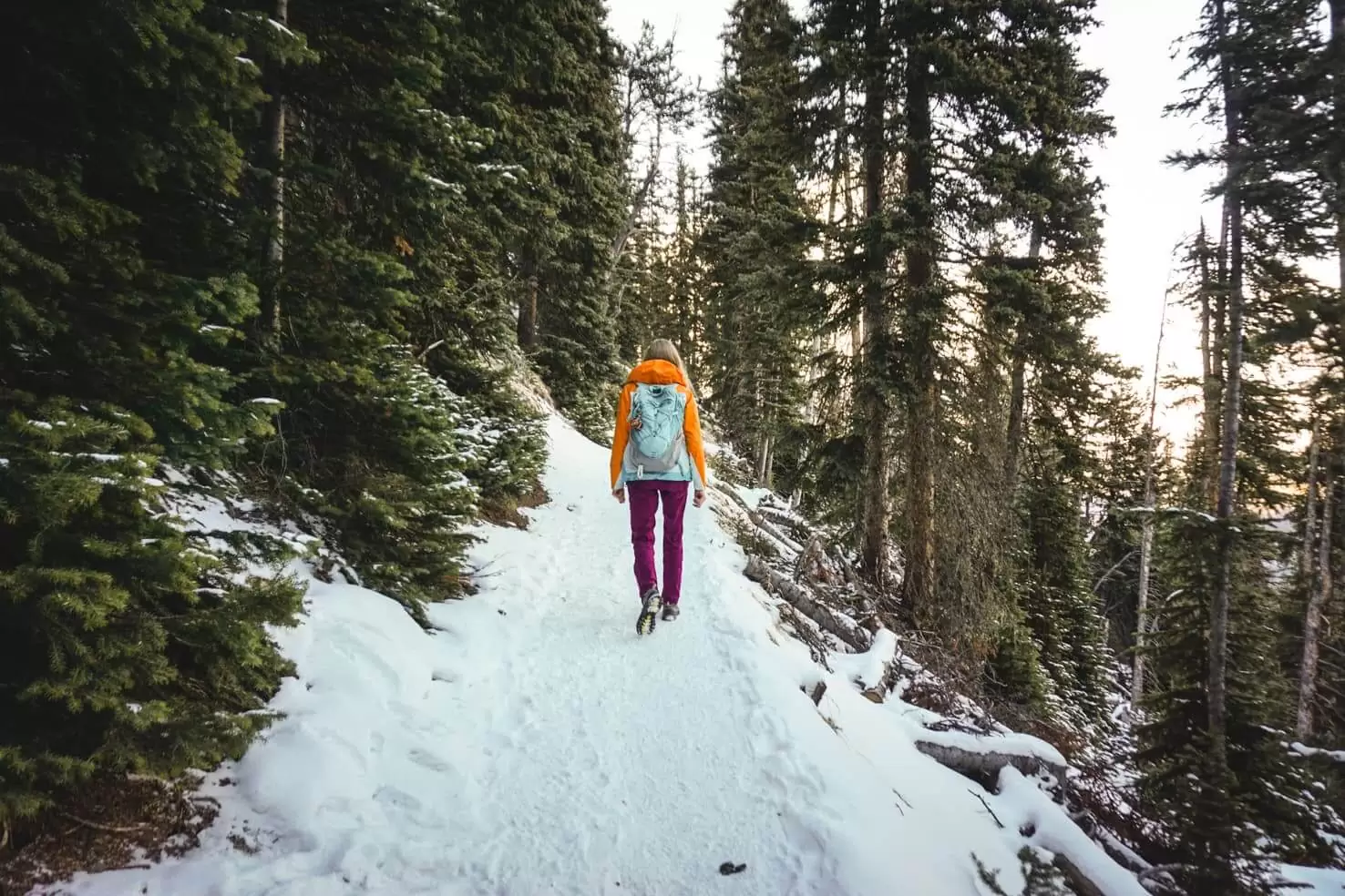 Sulphur Mountain Hike, Banff National Park