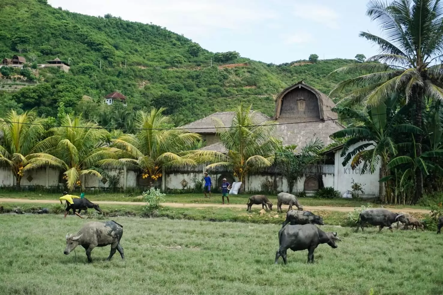 Kuta, Lombok travel guide