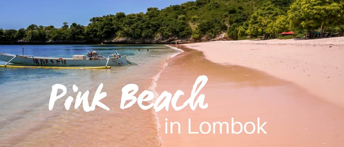 Pink Beach trip in Lombok