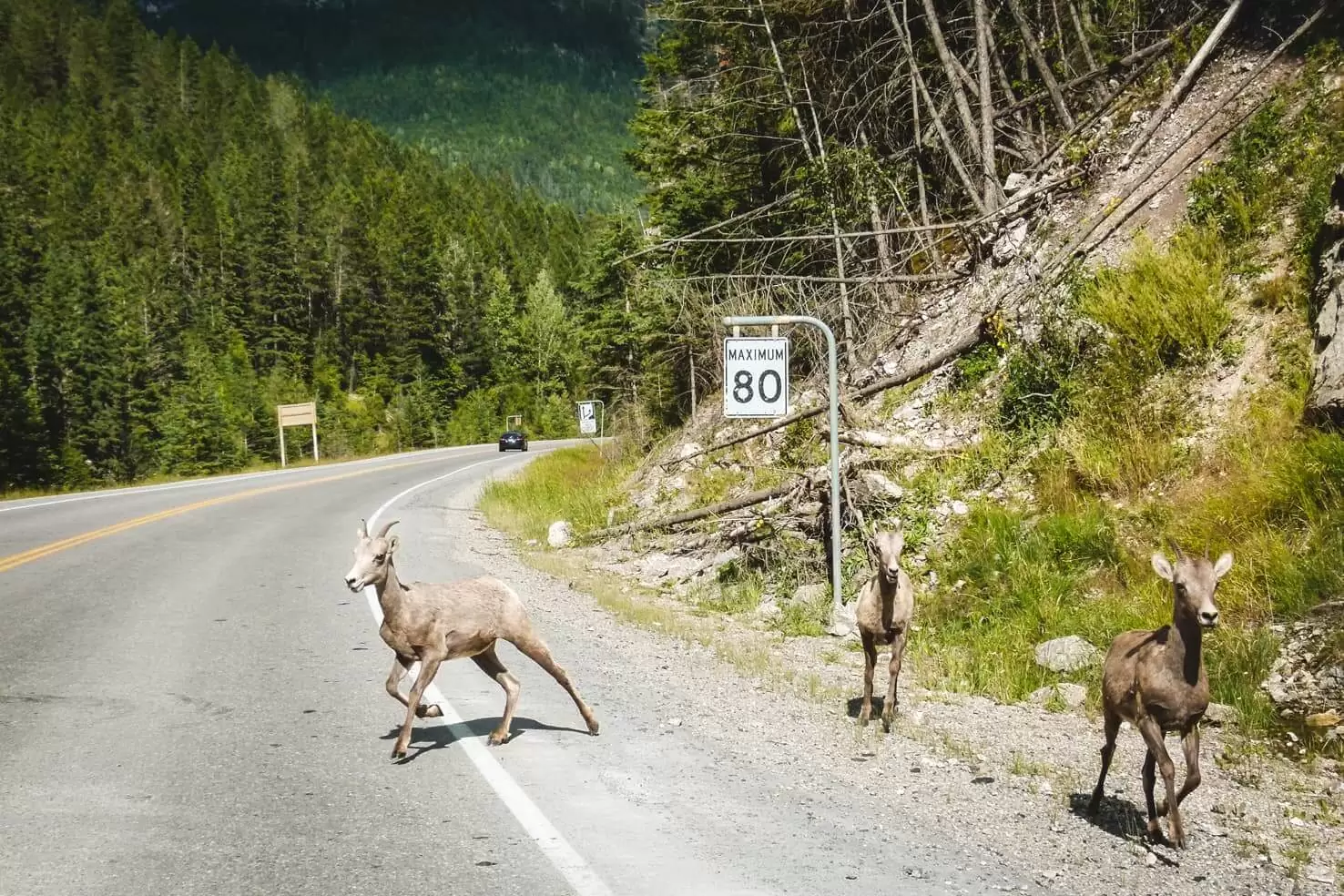 Adventure travel guide to Yoho National Park