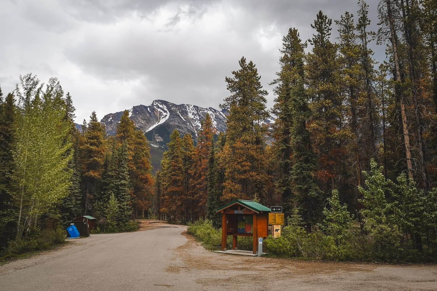 Camping in Jasper National Park - Honeymoon Lake Campground