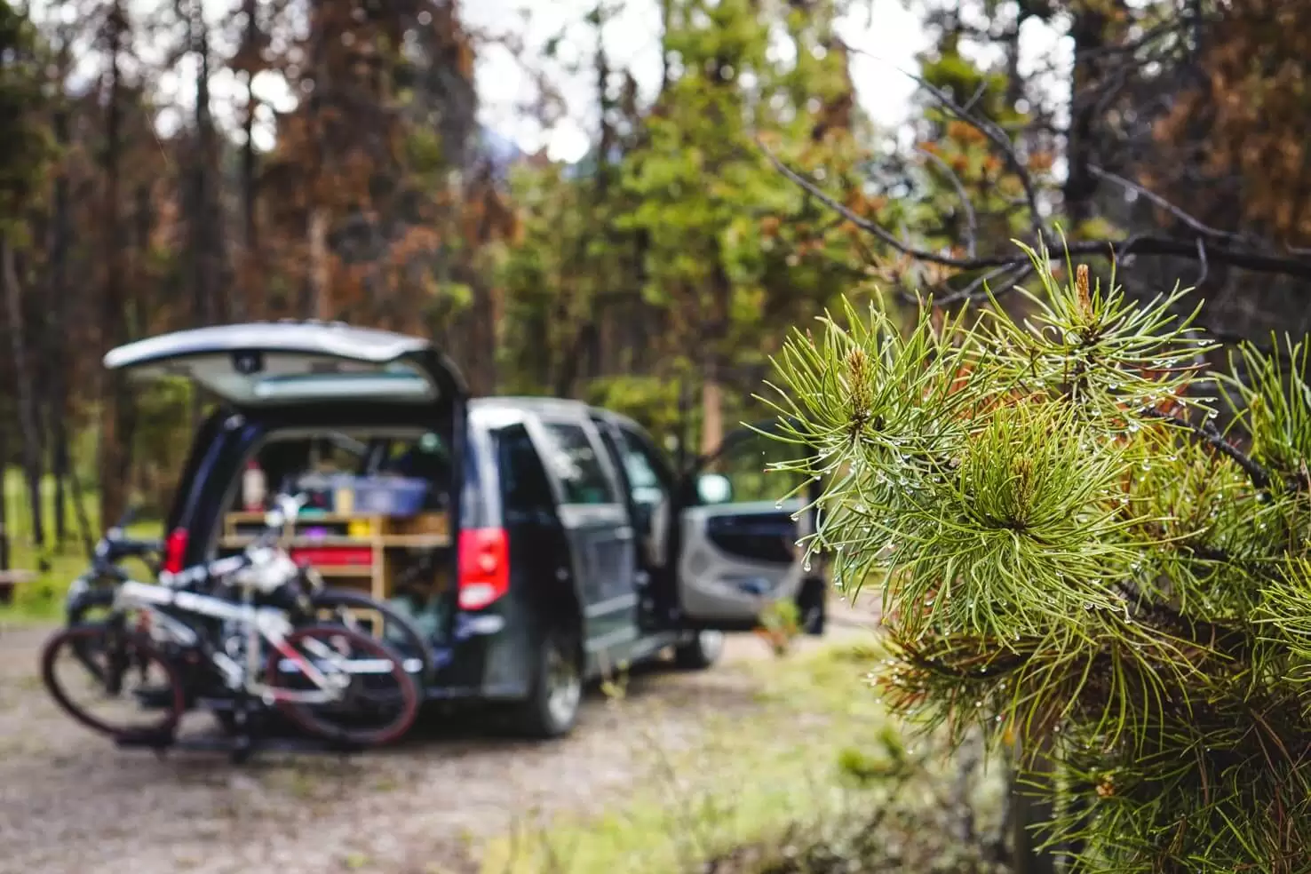 Camping in Jasper National Park - Wabasso Campground