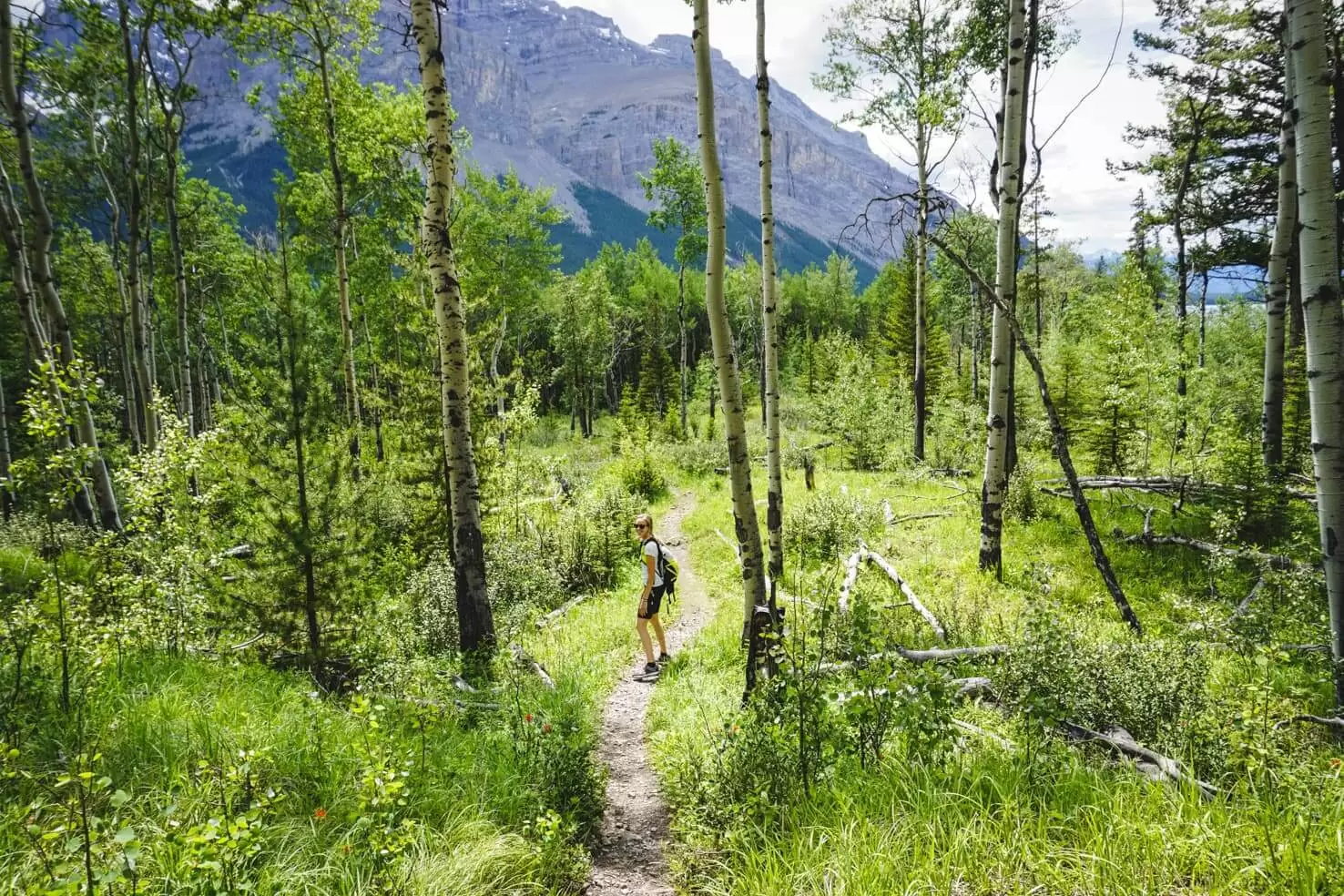 Aylmer Lookout Hike & Bike Trip, Banff National Park