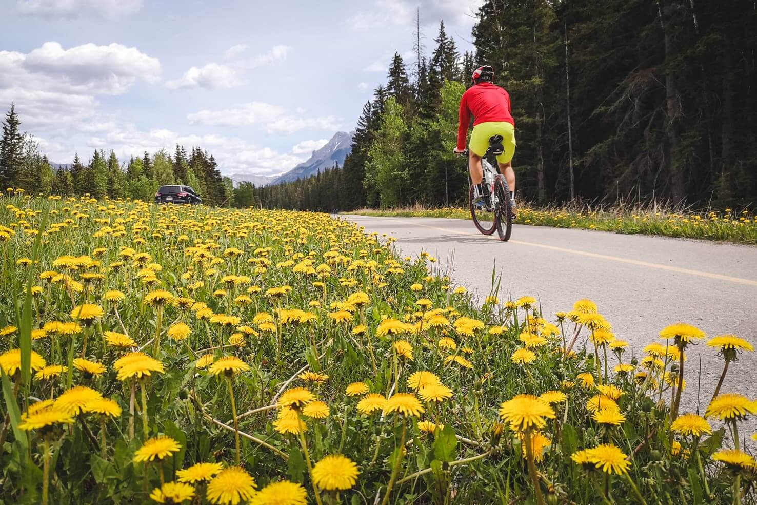 Legacy trail, biking from Banff to Canmore with an adventurous twist