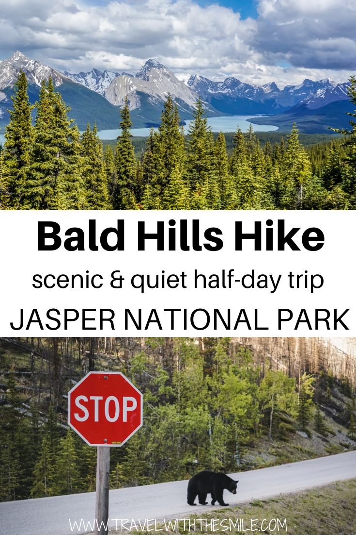 Bald Hills Hike in Jasper National Park