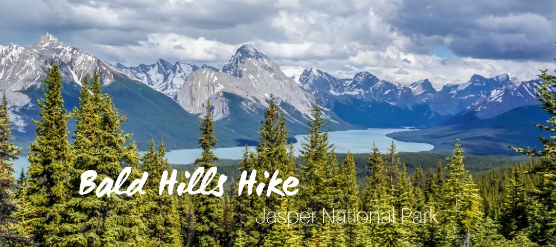 Bald Hill Trail Map Bald Hills Hike In Jasper National Park