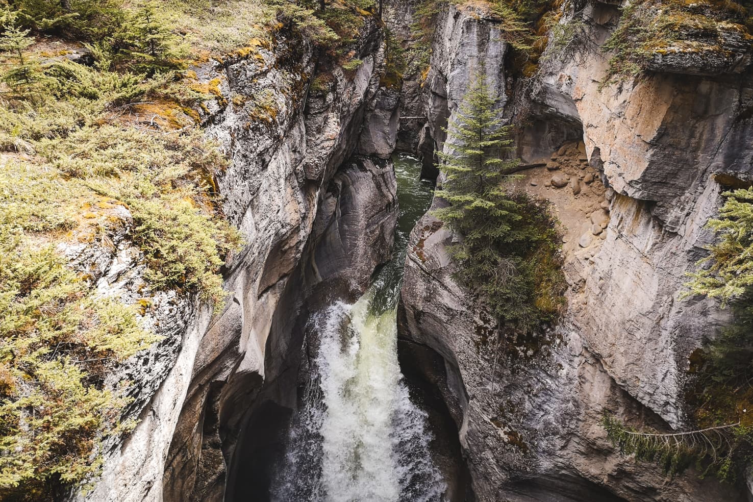 Things to do in Jasper National Park - 19 Visit all bridges at Maligne Canyon