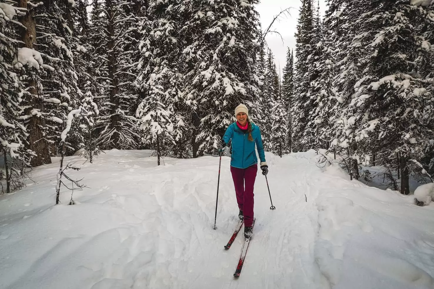 Things to do in Fernie, BC - 19 Go cross country skiing