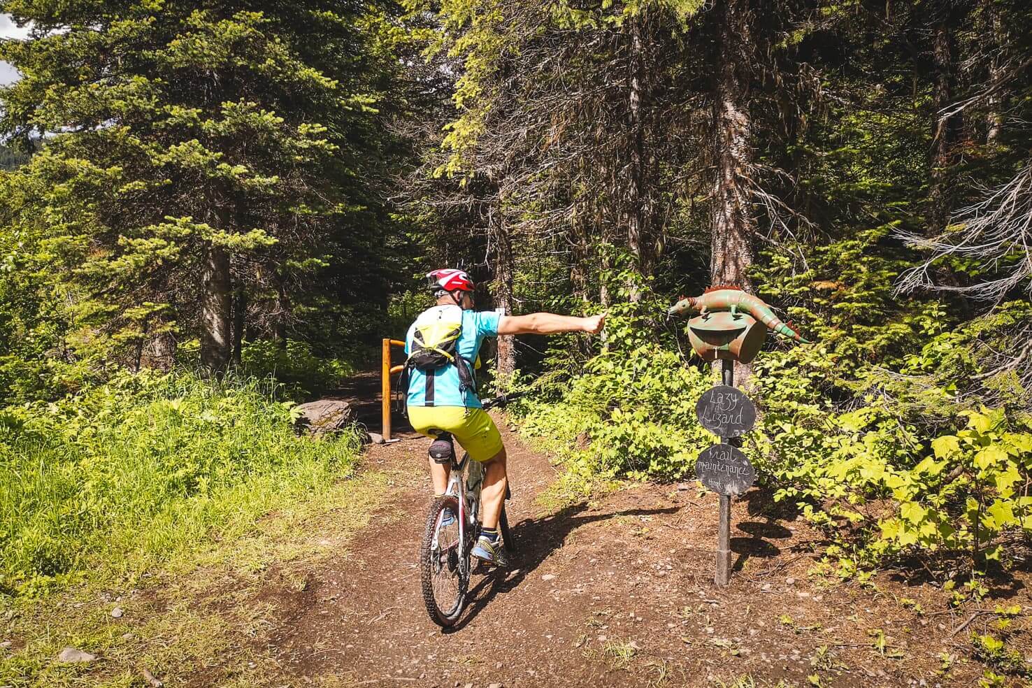 Things to do in Fernie, BC - 7 Downhill bike the iconic Lazy Lizard Trail