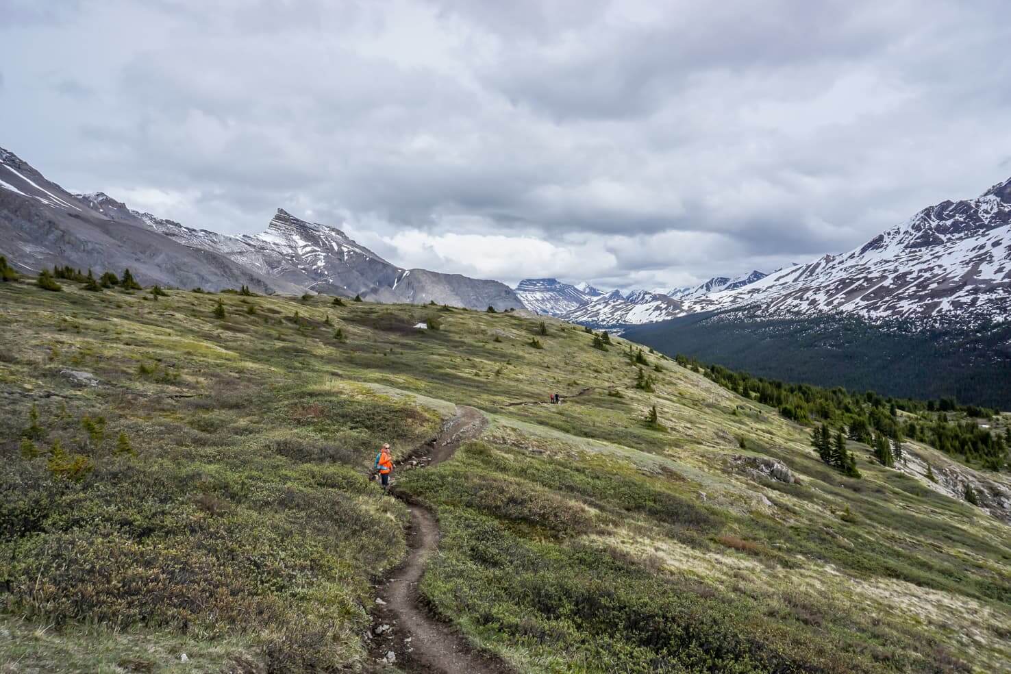 Wilcox Pass Hike, Jasper National Park