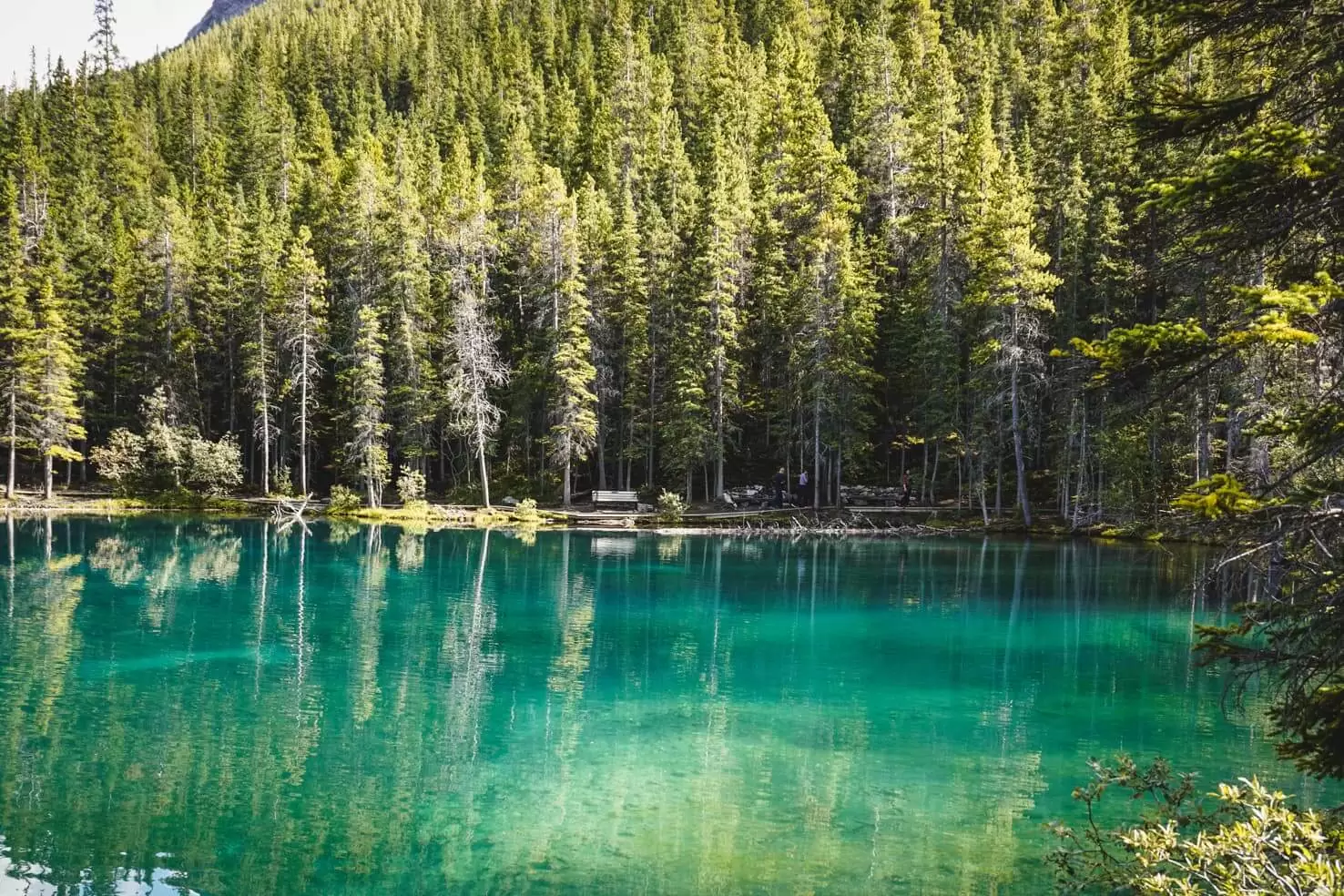 Grassi Lakes Hike, Canmore