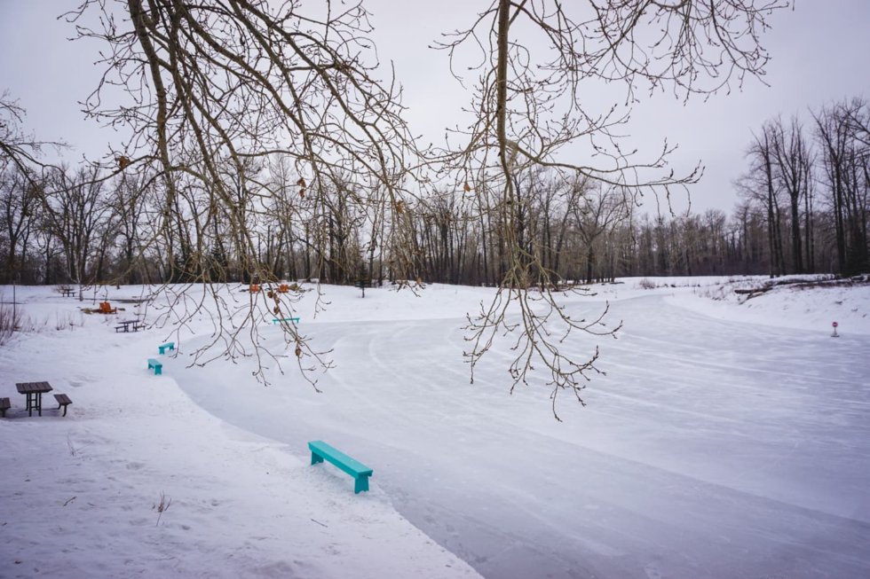 Outdoor Ince Rink Calgarry Outdoor Skating Rinks in Calgary: A Breakdown of All Options