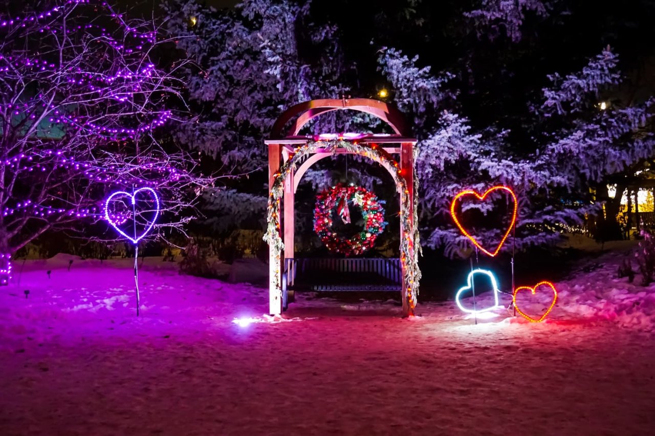 Zoolights in Calgary 18 Best Displays and Tips for 2022/20223