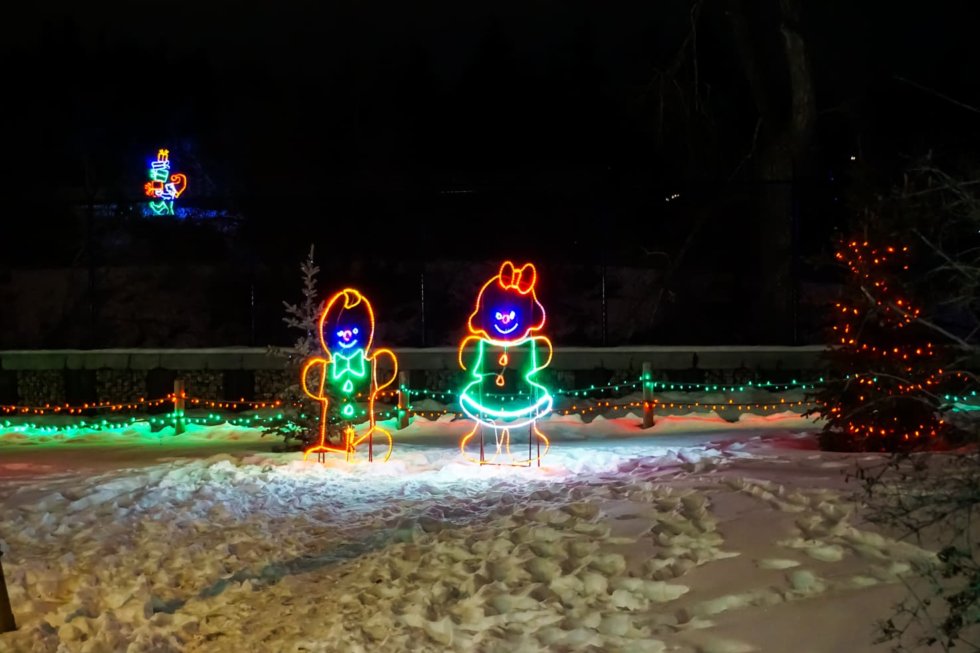 Zoolights in Calgary 18 Best Displays and Tips for 2022/20223