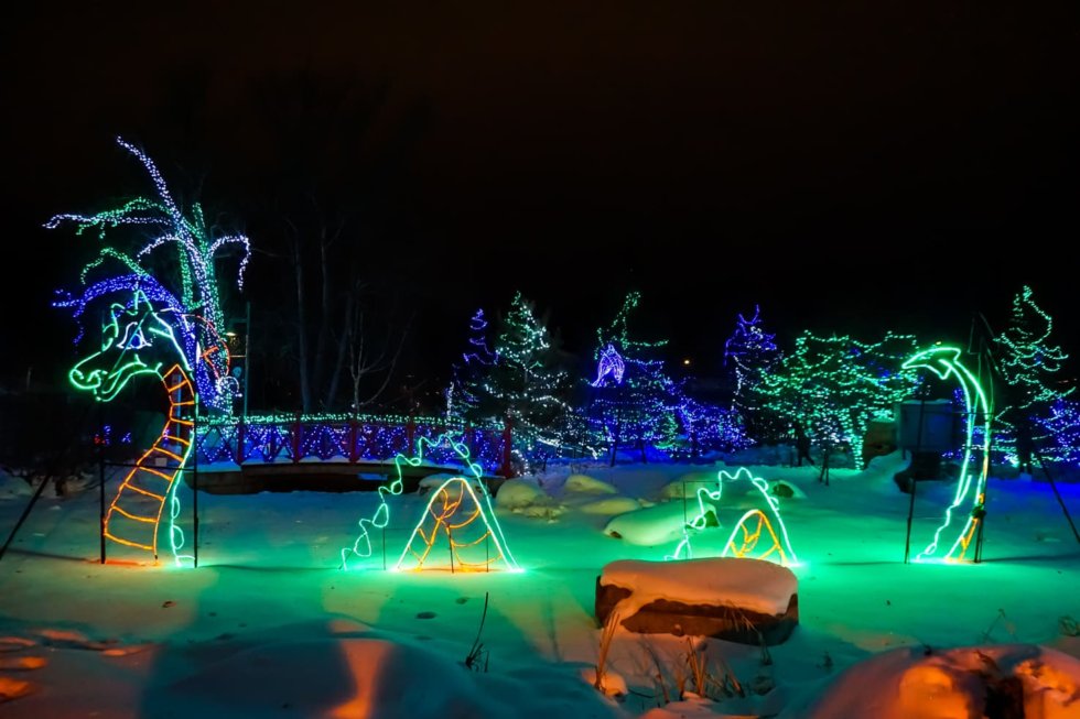 Zoolights in Calgary 18 Best Displays and Tips for 2022/20223