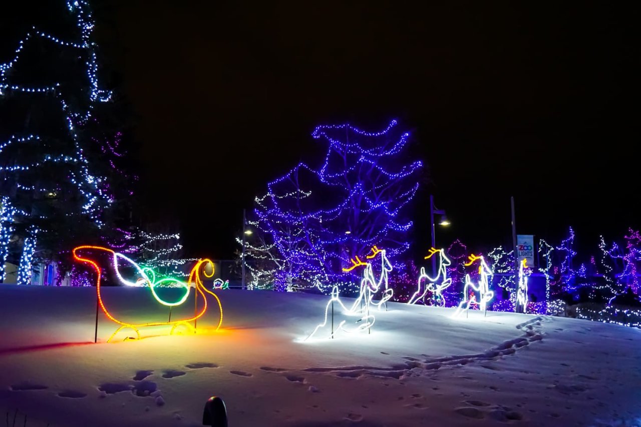 Zoolights in Calgary 18 Best Displays and Tips for 2022/20223