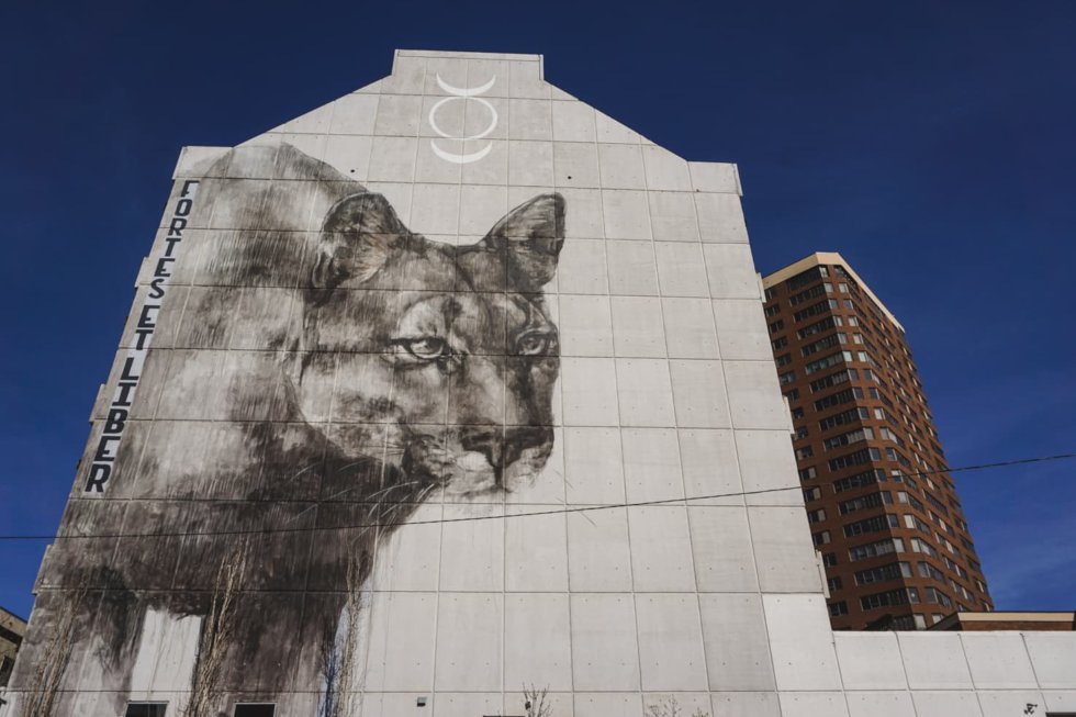 Discover 26 Amazing Wall Murals in Calgary With Our Map