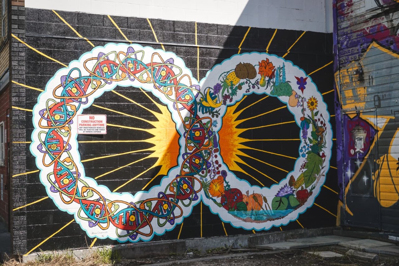 Discover 26 Amazing Wall Murals in Calgary With Our Map