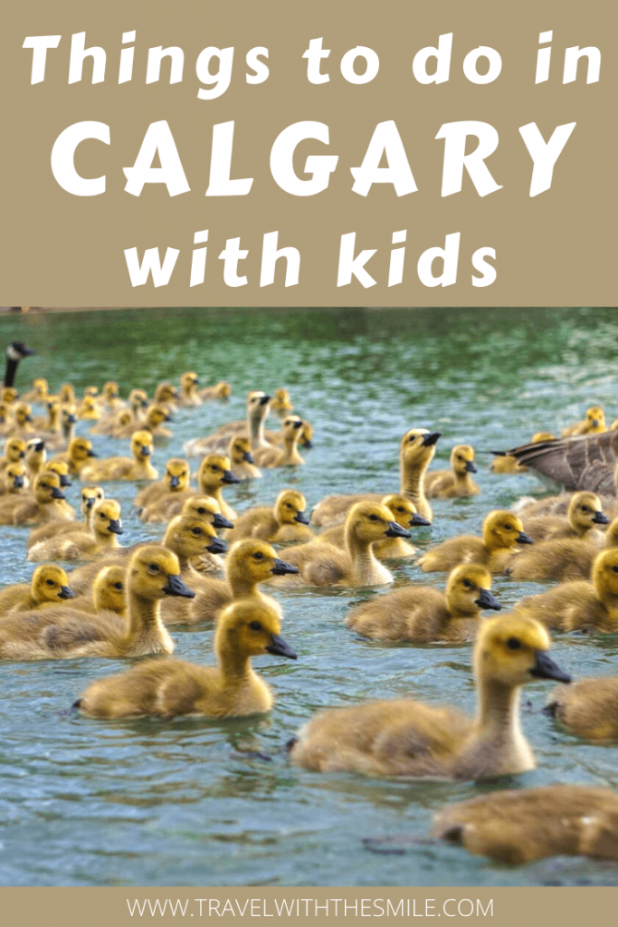 Things to Do With Kids in Calgary