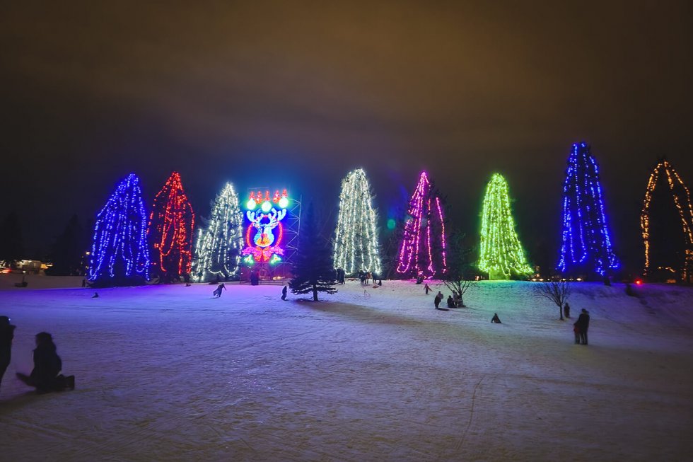 Tips for Visiting Lions Festival of Lights, Calgary