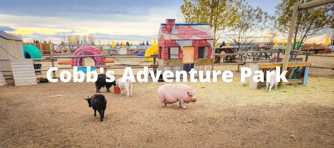 Cobb’s Adventure Park & Petting Zoo in Calgary