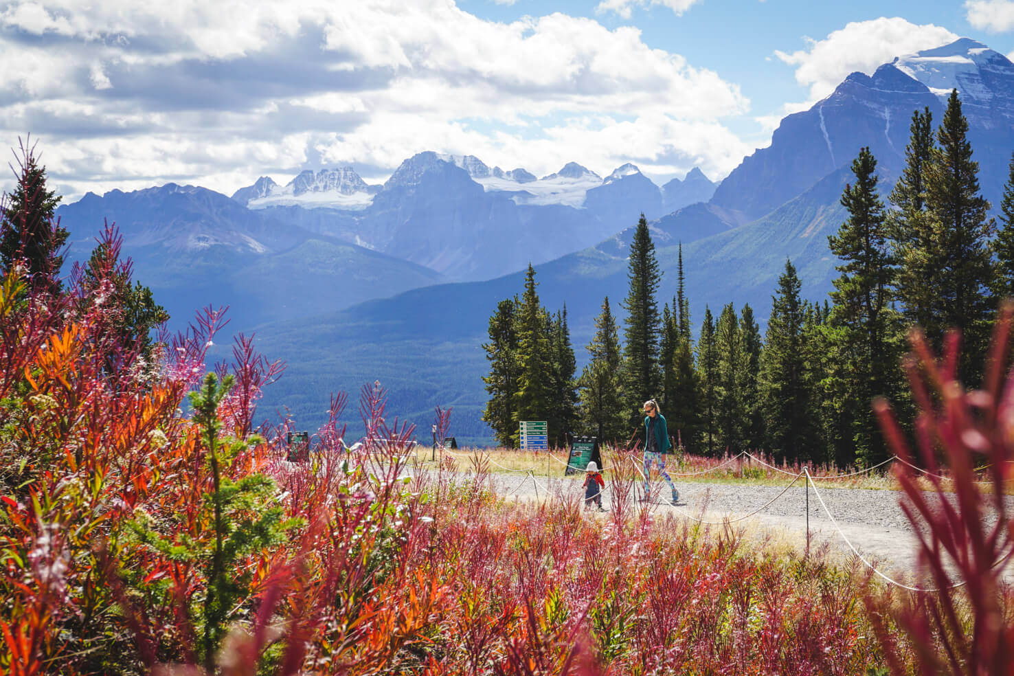 Lake Louise Gondola: Guide to visiting Lake Louise Summer Gondola