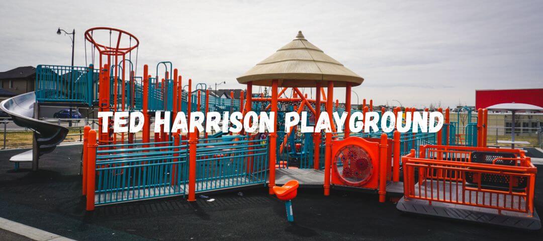 Ted Harrison Inclusive Playground