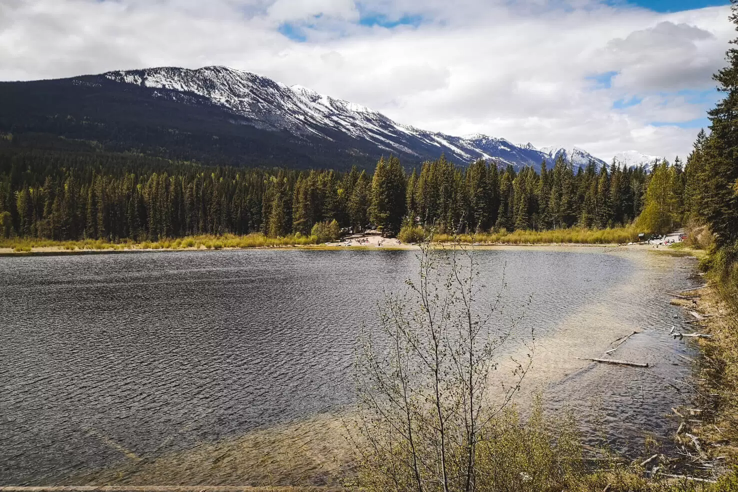 Cedar Lake in Golden, BC