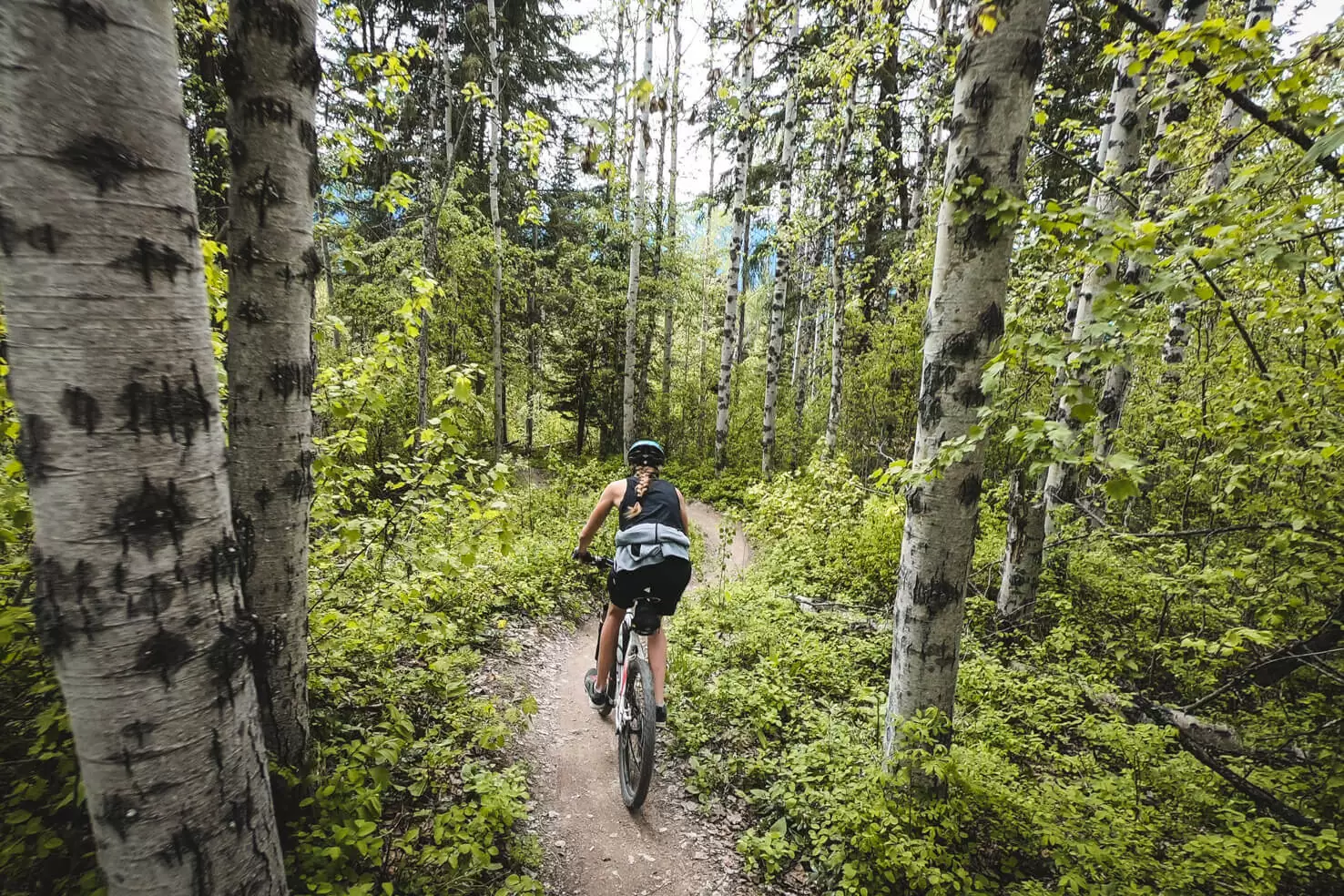 Explore Mountain Biking in Golden