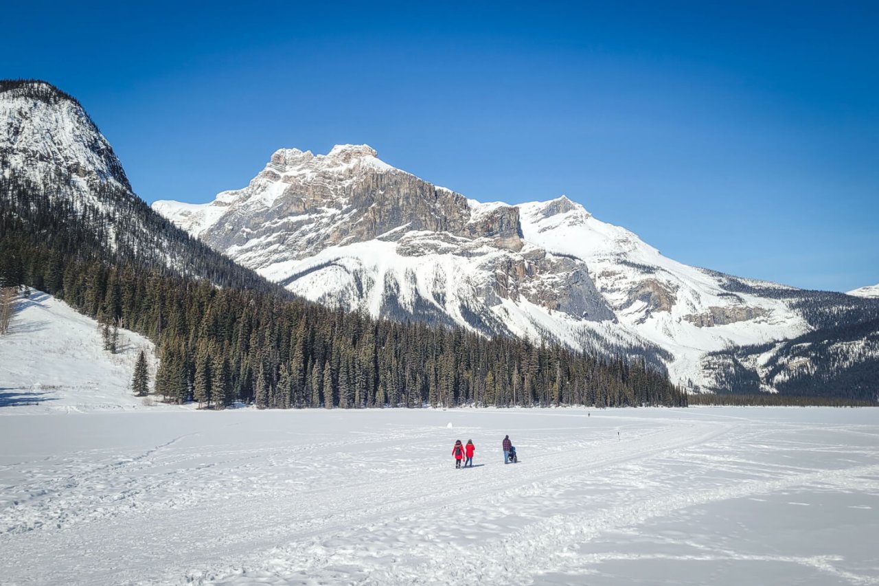Emerald Lake In Yoho Your Ultimate Guide 2025 