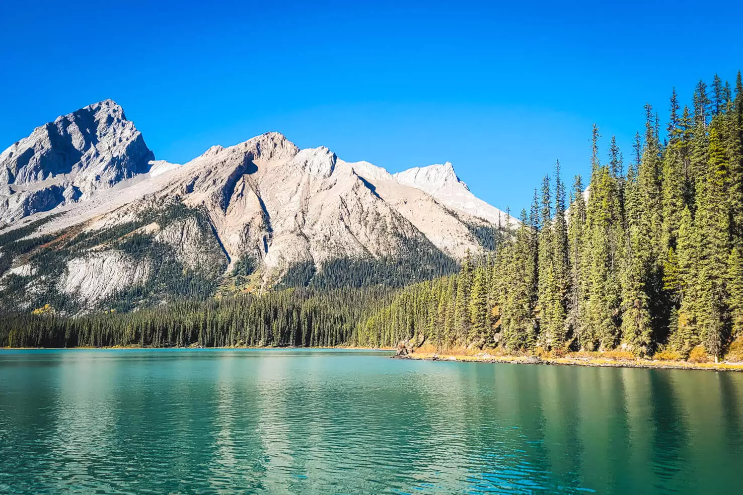 Maligne Lake Cruise in Jasper