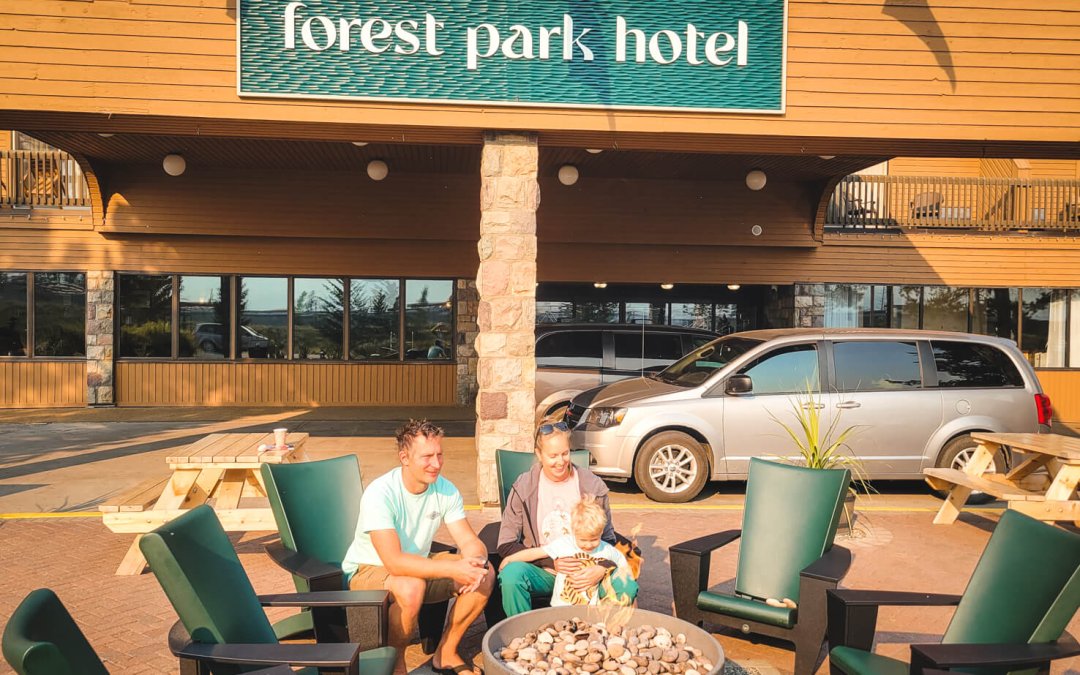 Forest Park Hotel Review