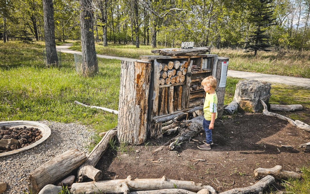Nature Walk in Carburn Park, the Perfect Unstructured Playground